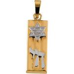 14K Gold Mezuzah Pendant Hollow 21x7 mm